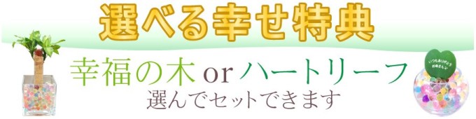 Fleur Town 吉本花城園さんからお借りしました。