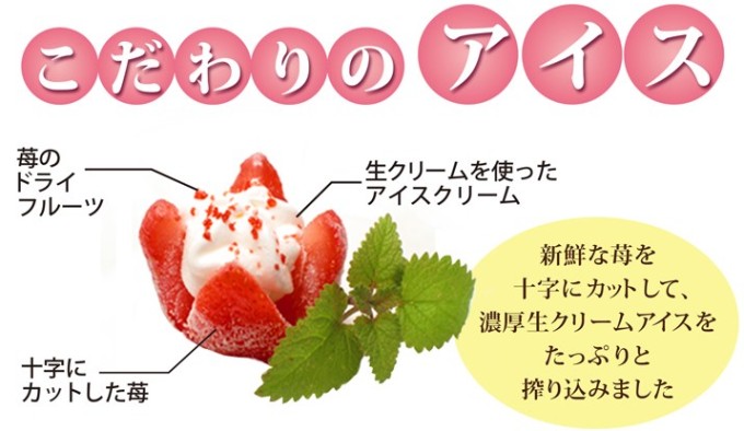 鹿野屋さんからお借りしました。