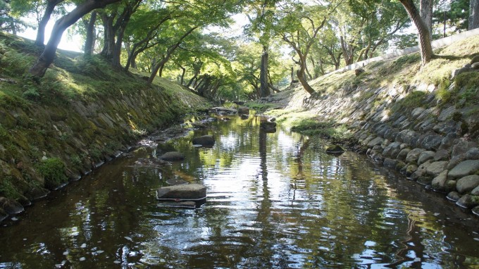 奈良公園②