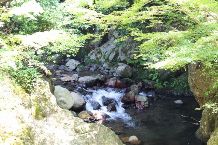 滝道の小川