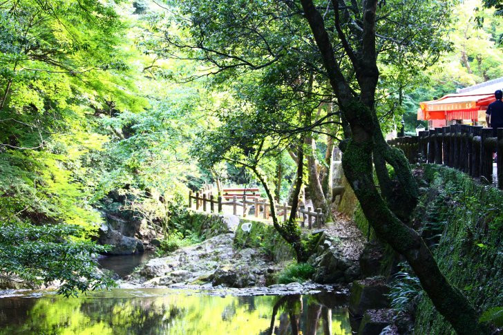 自然の景観