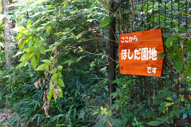 ここからほしだ園地の看板