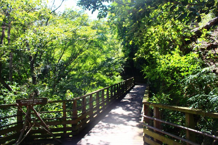 森林鉄道風歩道橋