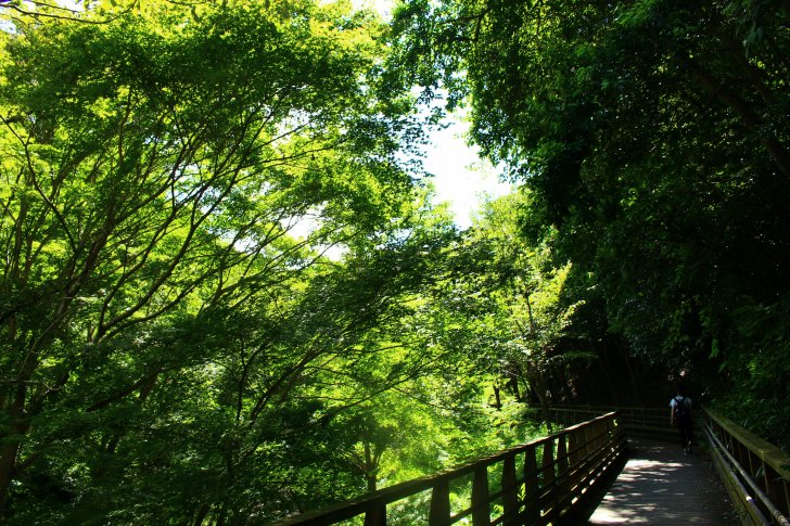 森林鉄道風歩道橋