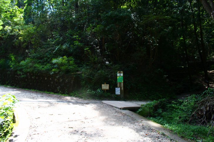 管理道とぼうけんの路の分かれ道