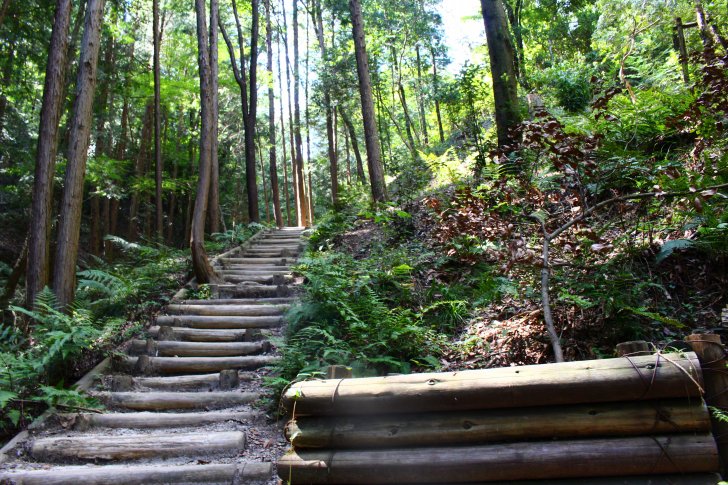 ぼうけんの路