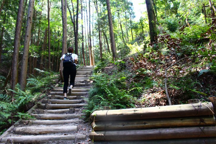 ぼうけんの路