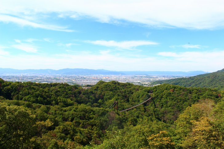 展望デッキから見える景色