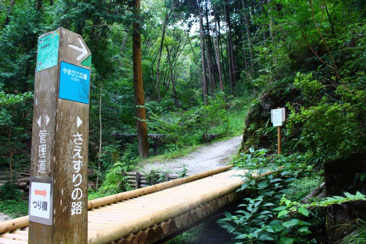 さえずりの路の看板