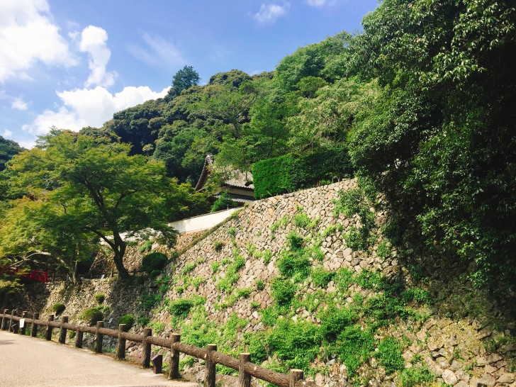 瀧安寺霊園から見える景色