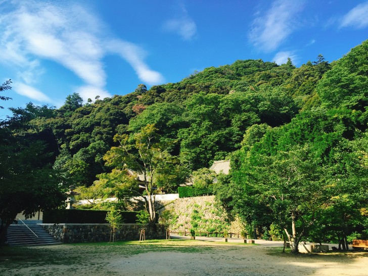 瀧安寺霊園から見える景色