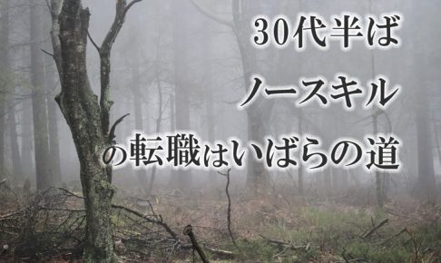 30代の転職はいばらの道