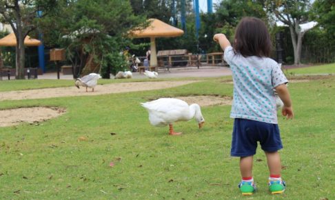 あひると子ども