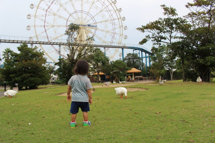 アヒルを見る子供の後ろ姿