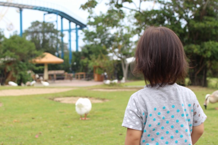 アドベンチャーワールド内の子どもの背中