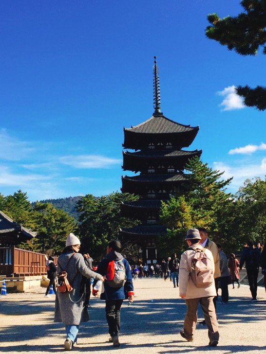 興福寺　五重塔