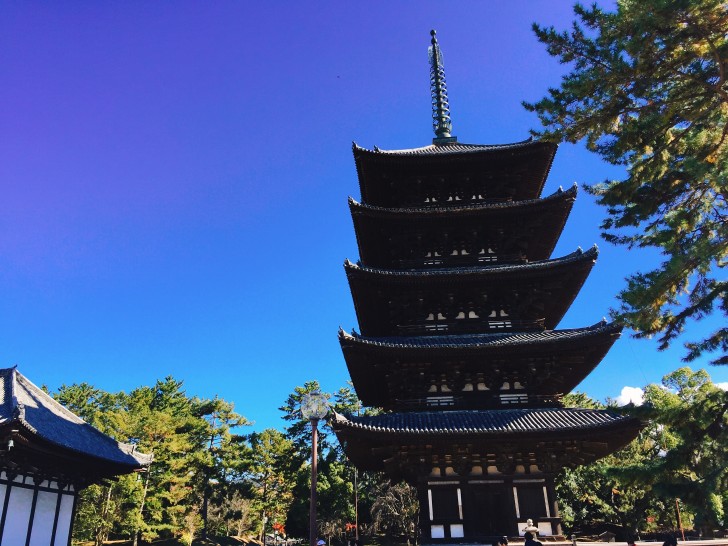 興福寺　五重塔