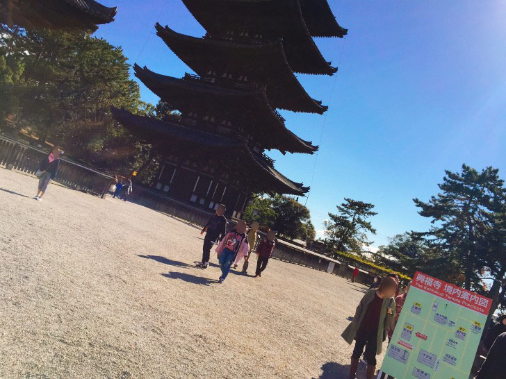 興福寺　五重塔