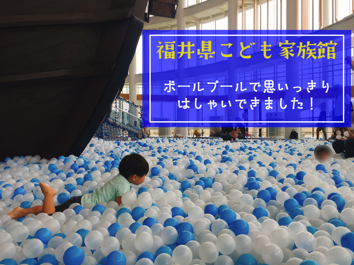 福井県こども家族館 あそび体験ゾーンの25万個のボールプールは圧巻 2歳の子どもが思いっきり楽しめる遊び場でした Love Wife Life